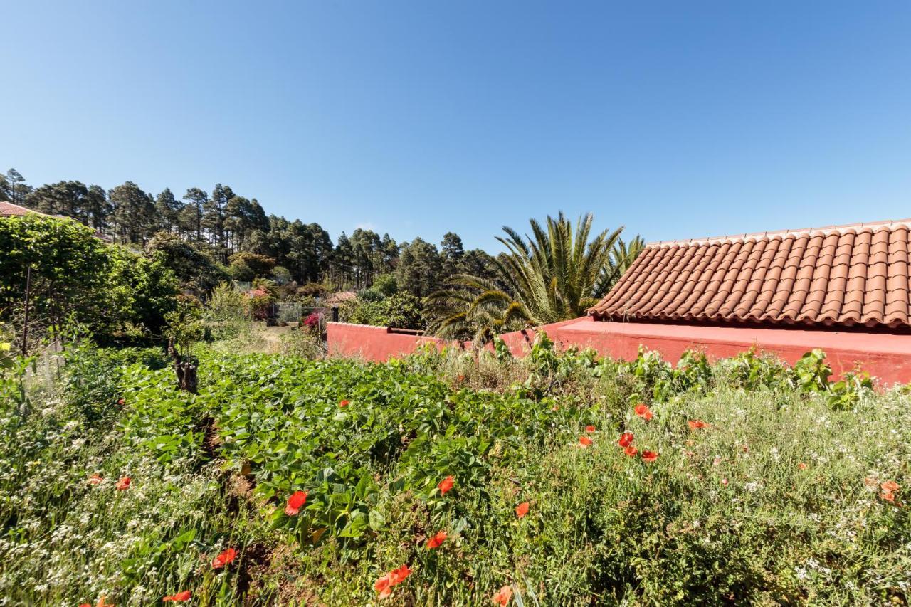 Casa Buganvillas, Reformado Puntagorda 外观 照片